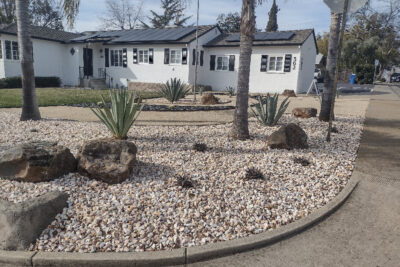 Adrian Blanco Jewelry, Folsom, CA - Commercial landscaping - Cagwin & Dorward