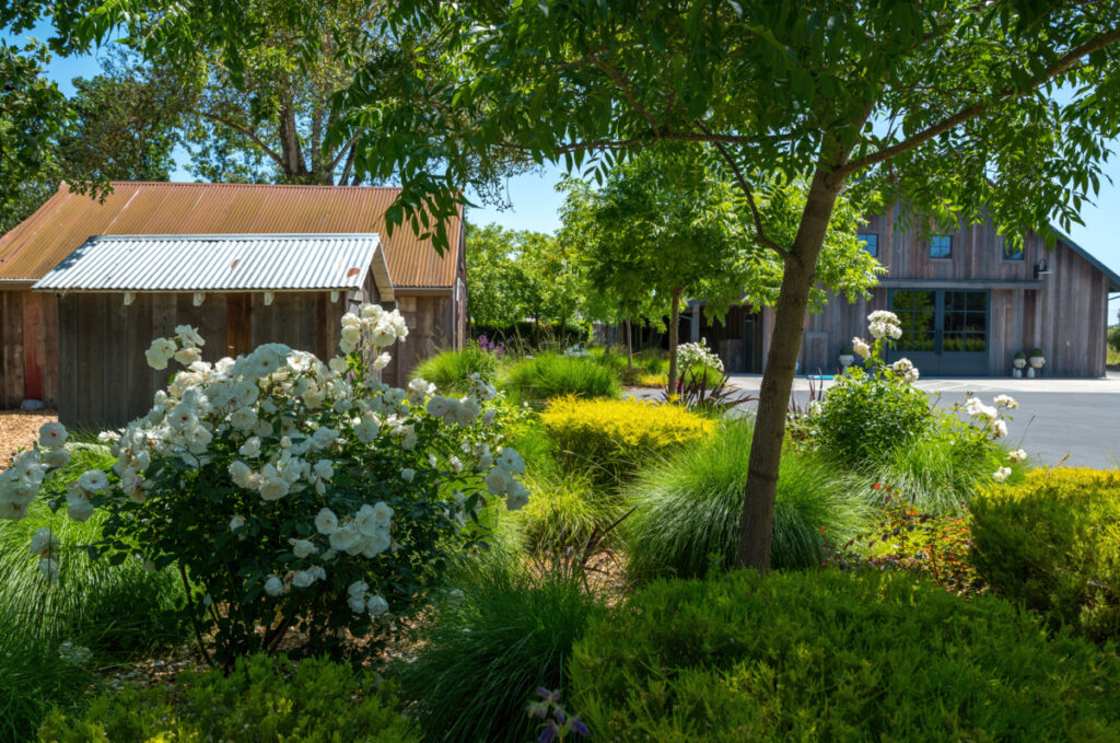 Sperber Landscape Services - Landscape Maintenance