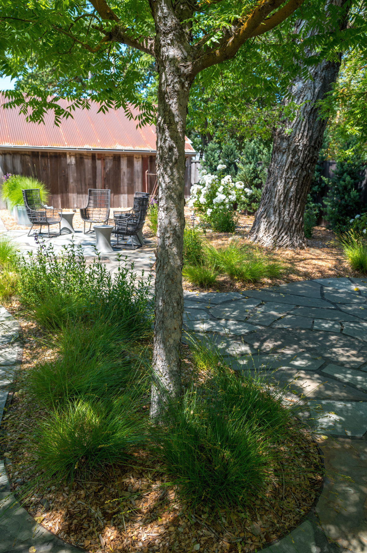The Croix Estate Winery - Fulton, CA - Cagwin & Dorward -Commercial Landscaping, Landscape Maintenance
