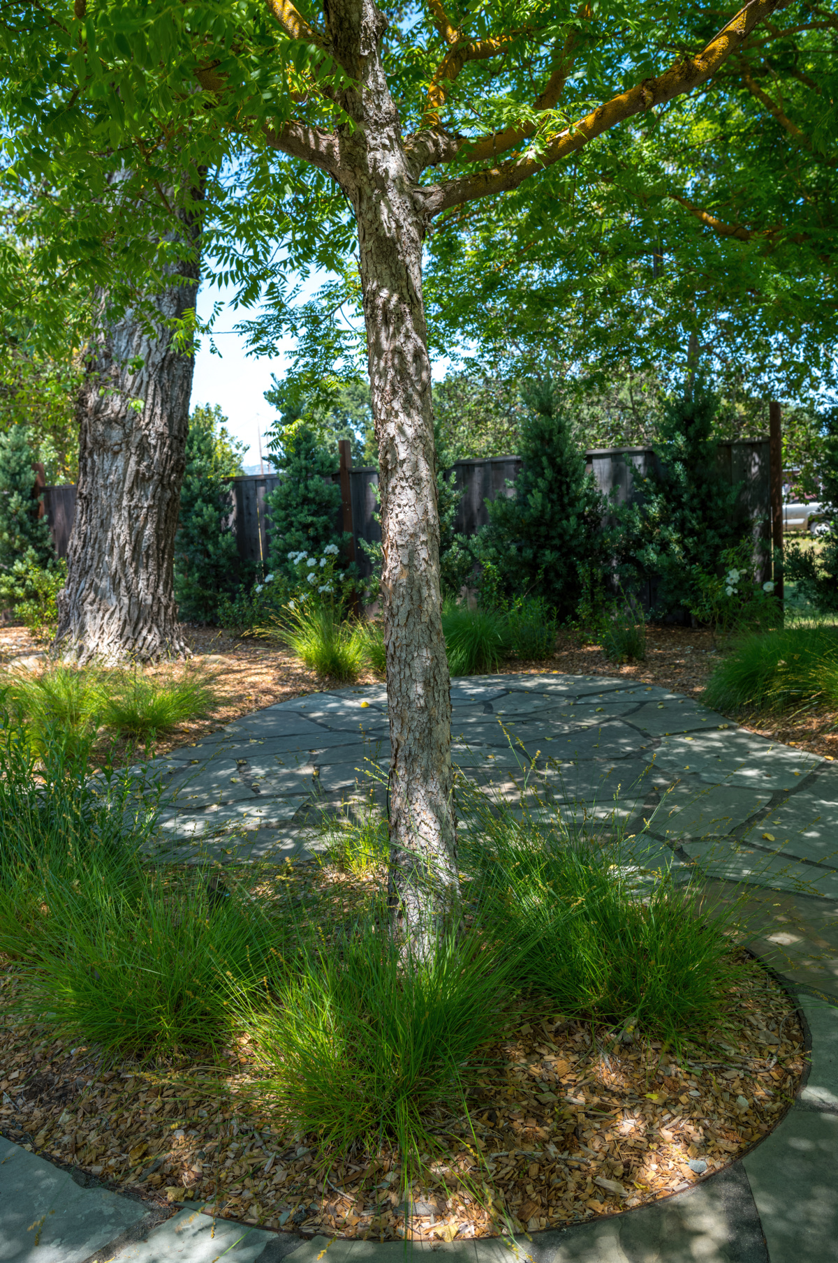 The Croix Estate Winery - Fulton, CA - Cagwin & Dorward -Commercial Landscaping, Landscape Maintenance