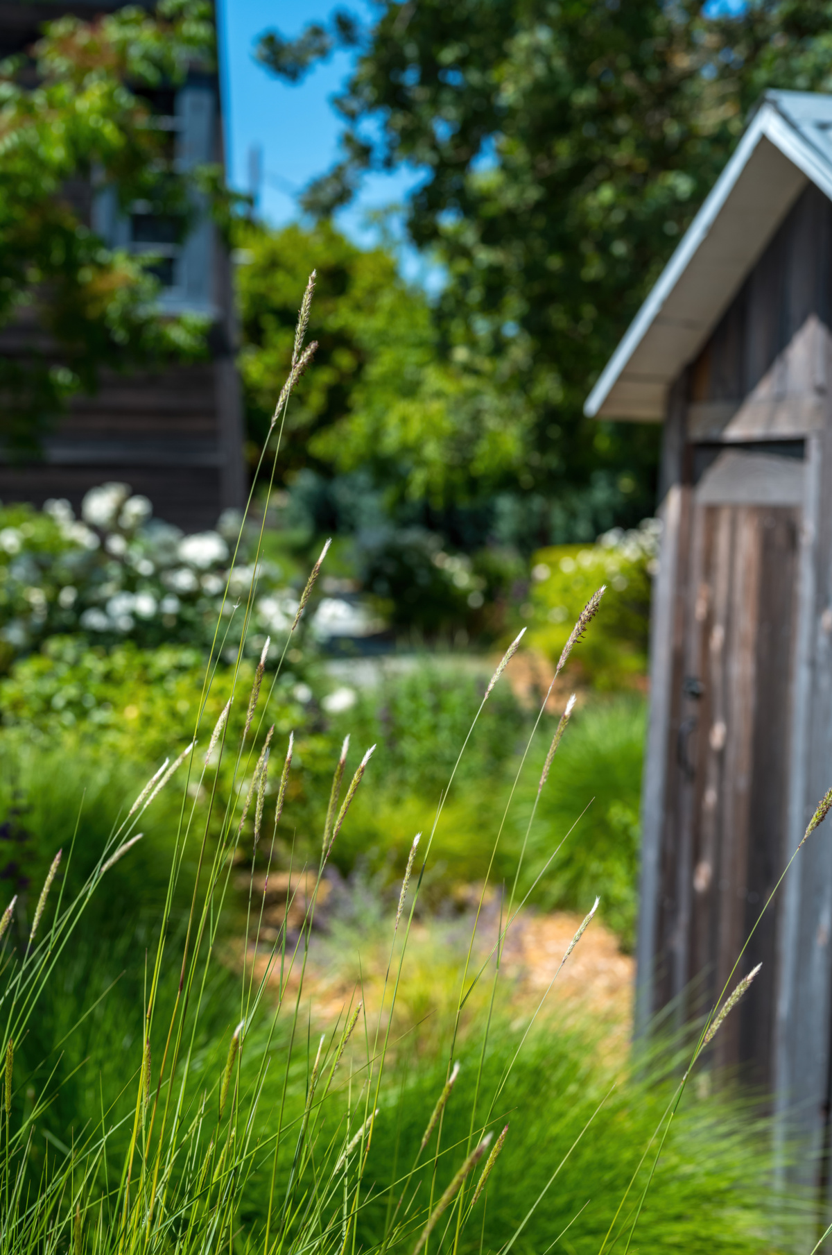 The Croix Estate Winery - Fulton, CA - Cagwin & Dorward -Commercial Landscaping, Landscape Maintenance