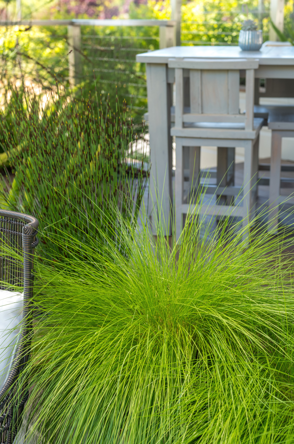 The Croix Estate Winery - Fulton, CA - Cagwin & Dorward -Commercial Landscaping, Landscape Maintenance