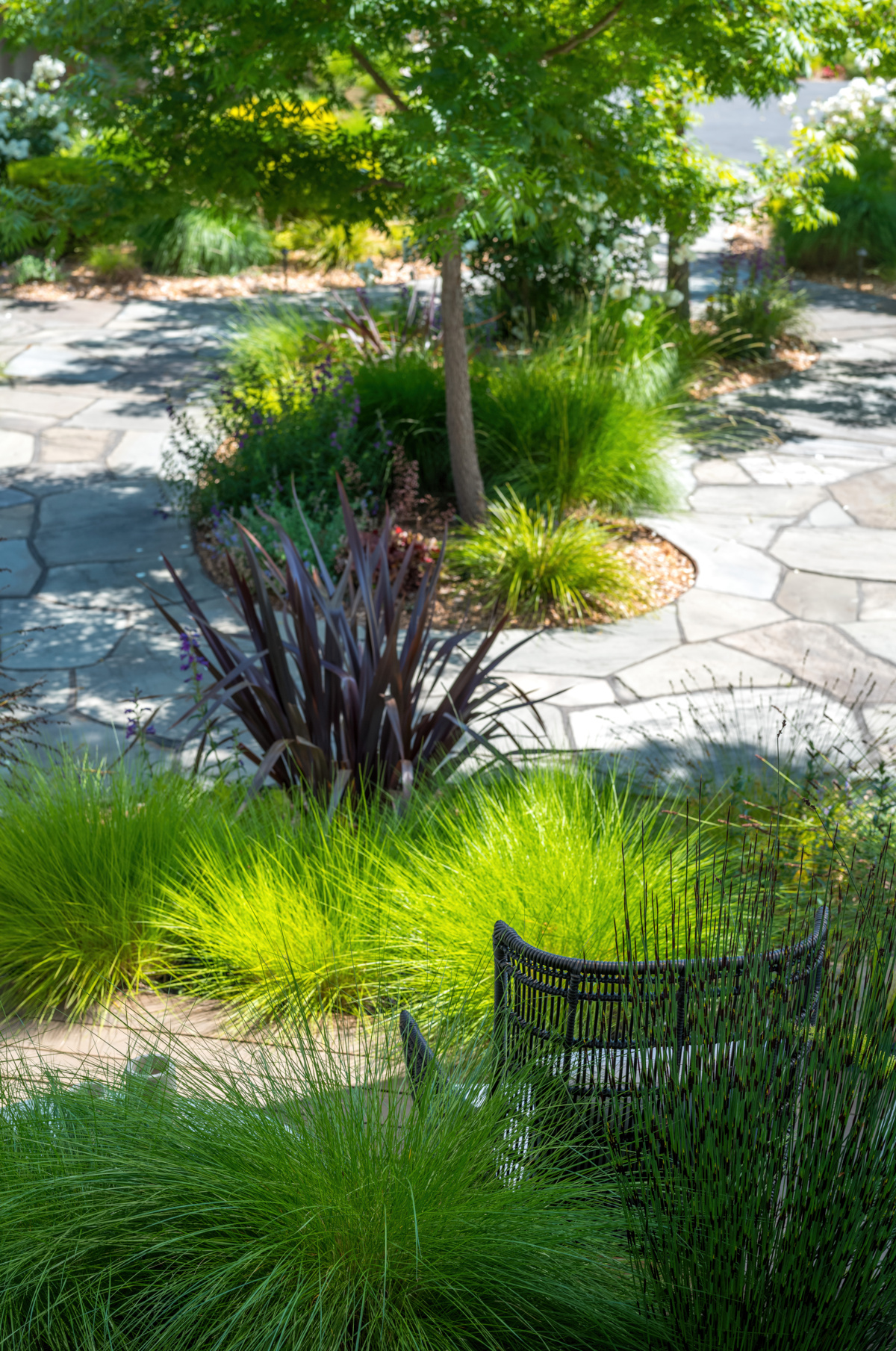 The Croix Estate Winery - Fulton, CA - Cagwin & Dorward -Commercial Landscaping, Landscape Maintenance