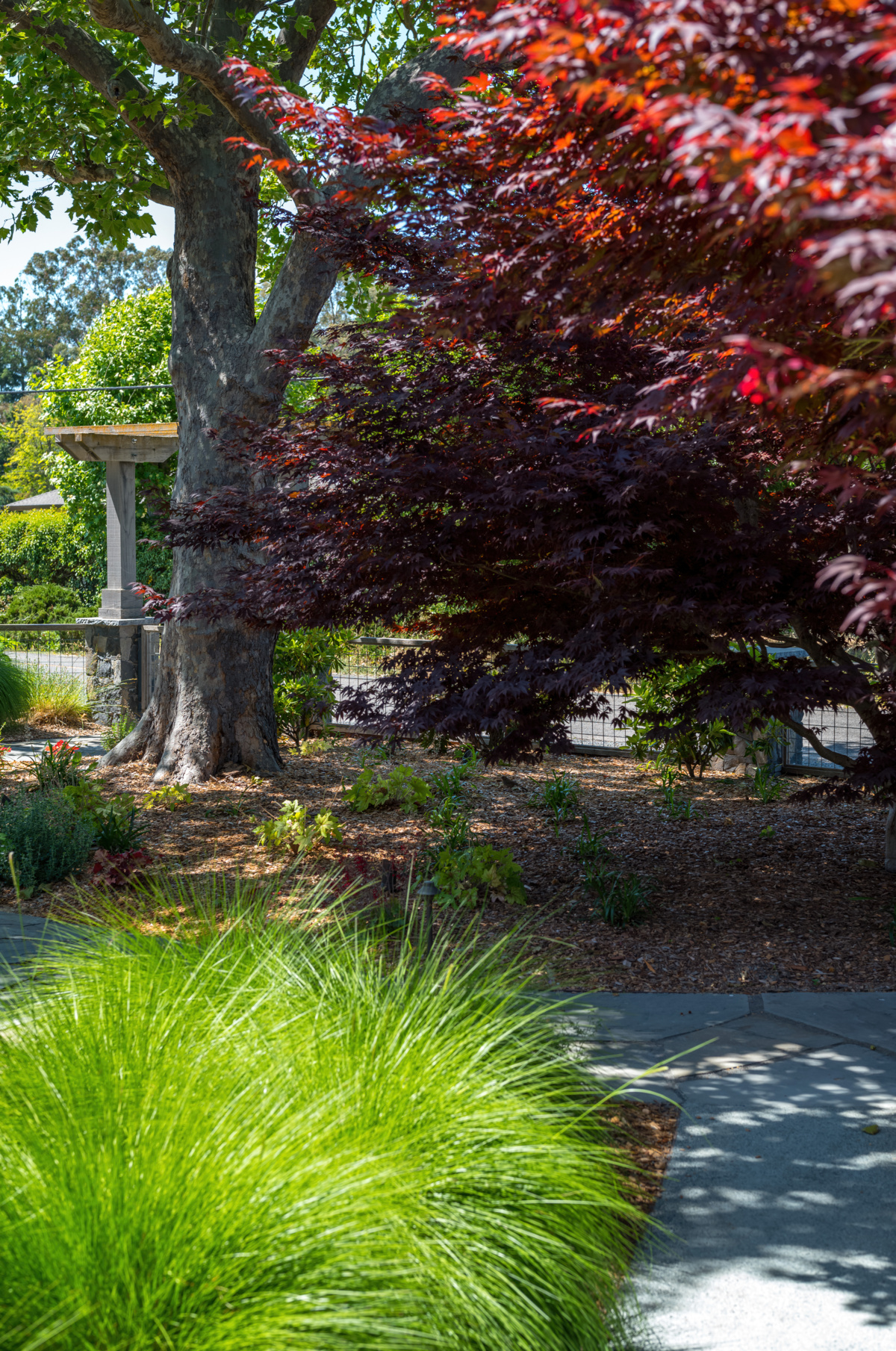 The Croix Estate Winery - Fulton, CA - Cagwin & Dorward -Commercial Landscaping, Landscape Maintenance