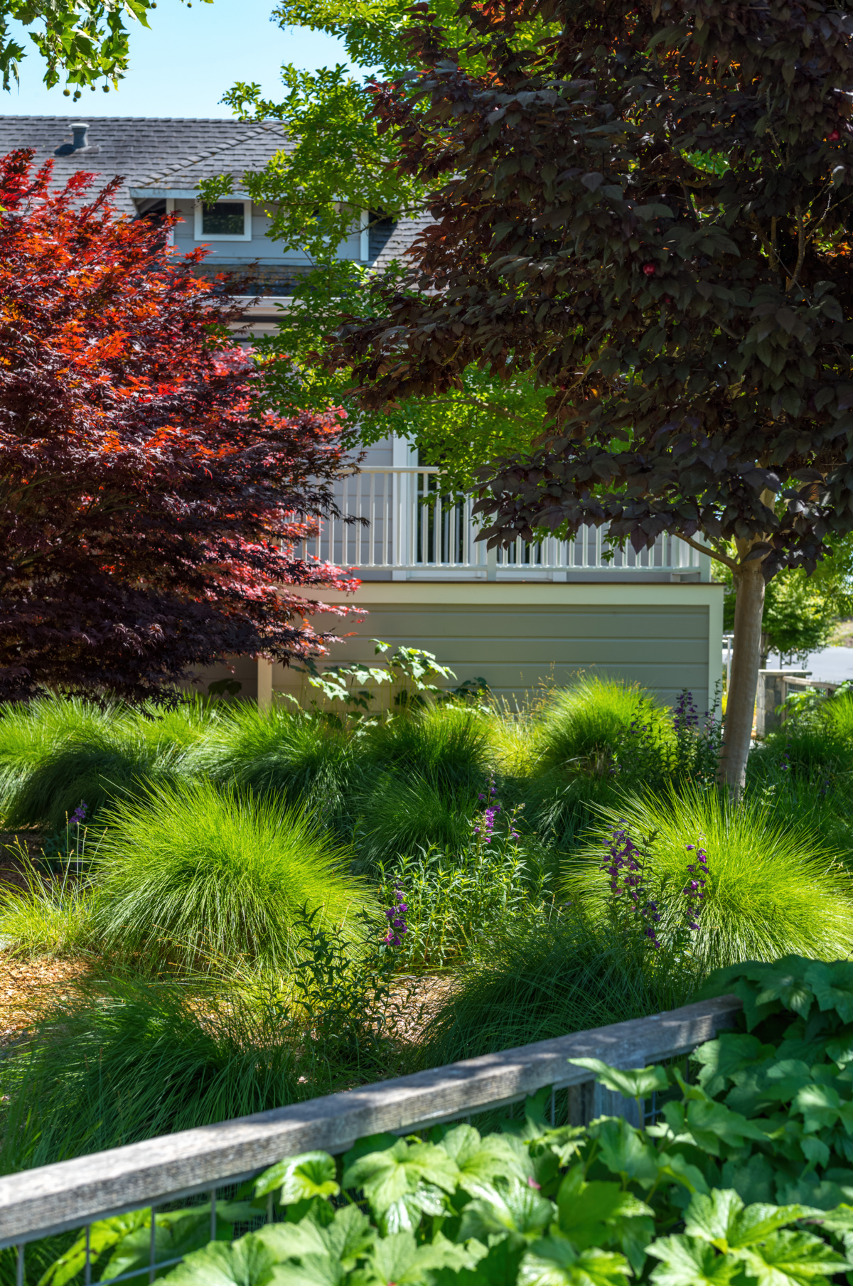 The Croix Estate Winery - Fulton, CA - Cagwin & Dorward -Commercial Landscaping, Landscape Maintenance