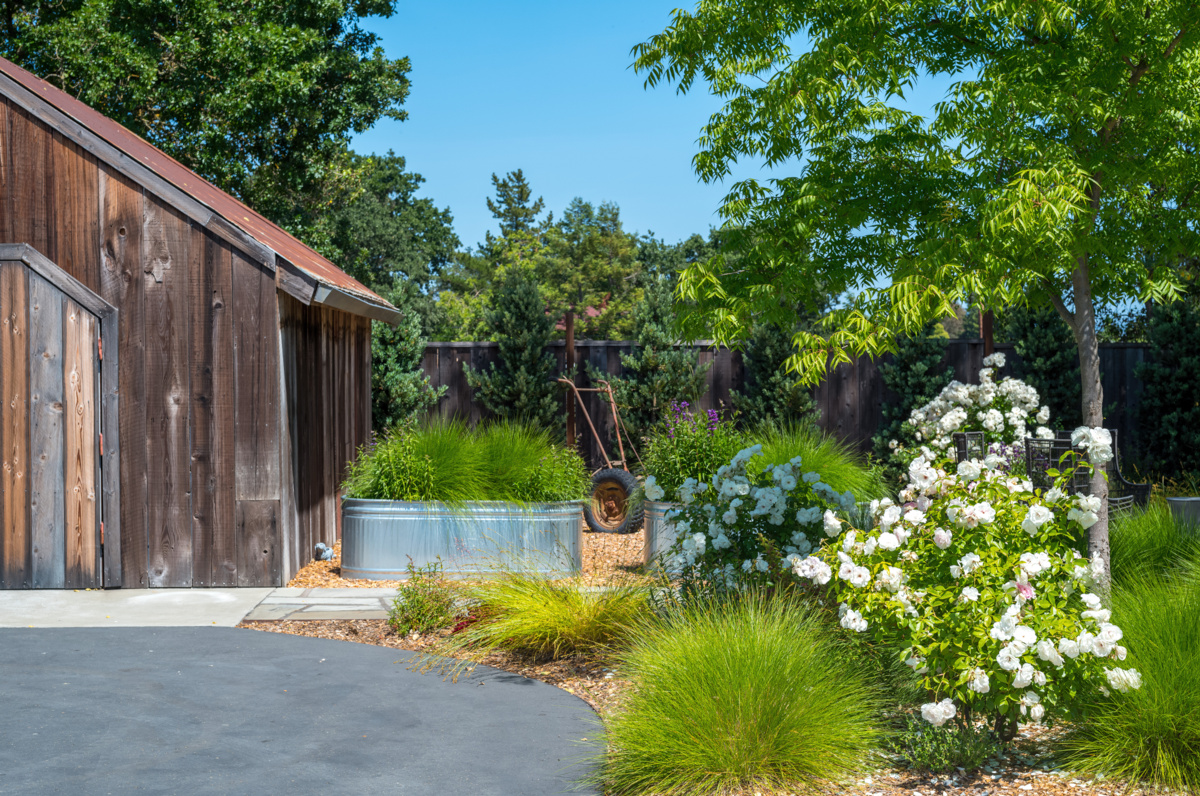 The Croix Estate Winery - Fulton, CA - Cagwin & Dorward -Commercial Landscaping, Landscape Maintenance