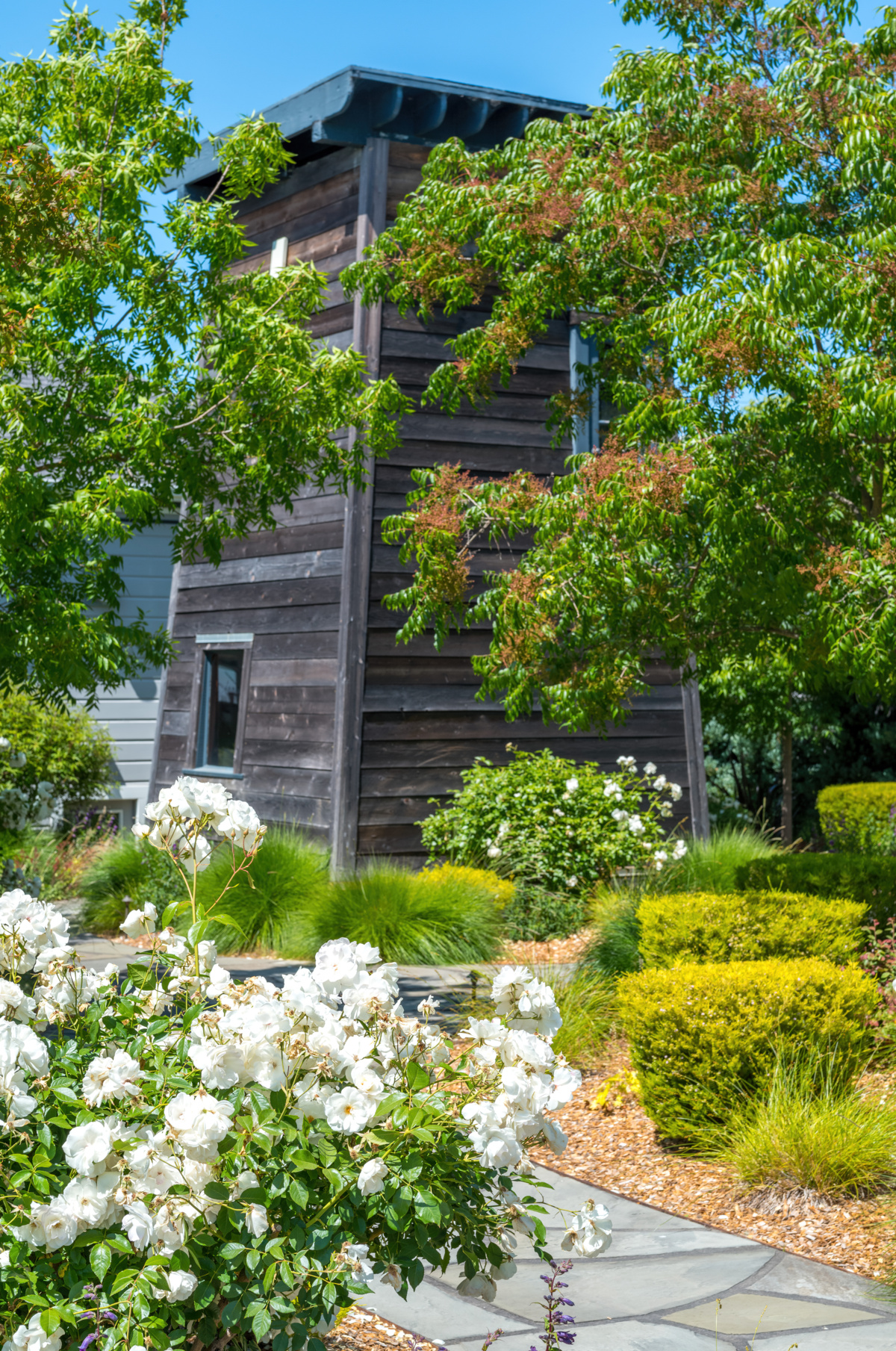 The Croix Estate Winery - Fulton, CA - Cagwin & Dorward -Commercial Landscaping, Landscape Maintenance