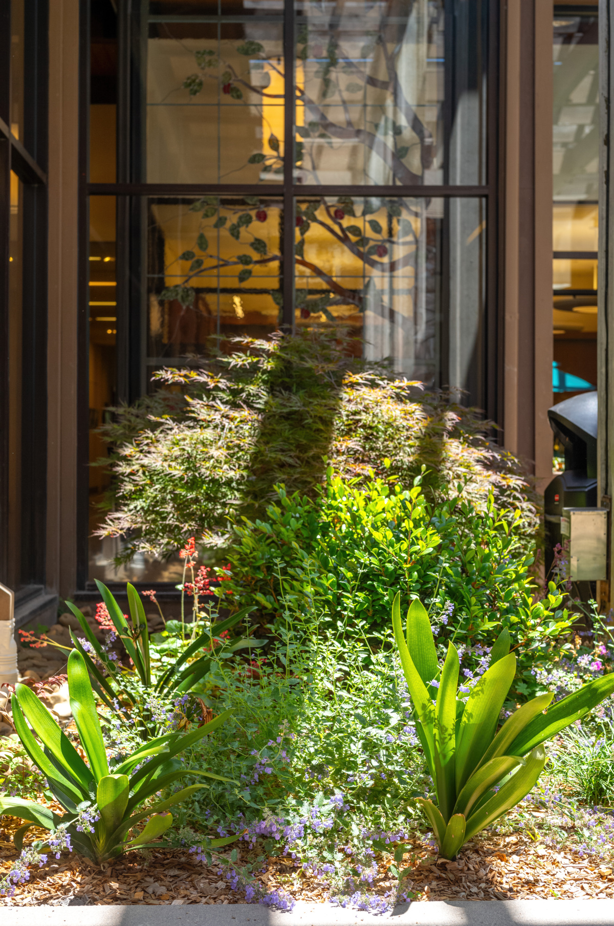 Spring Lake Village Atrium - Sperber Landscape Services