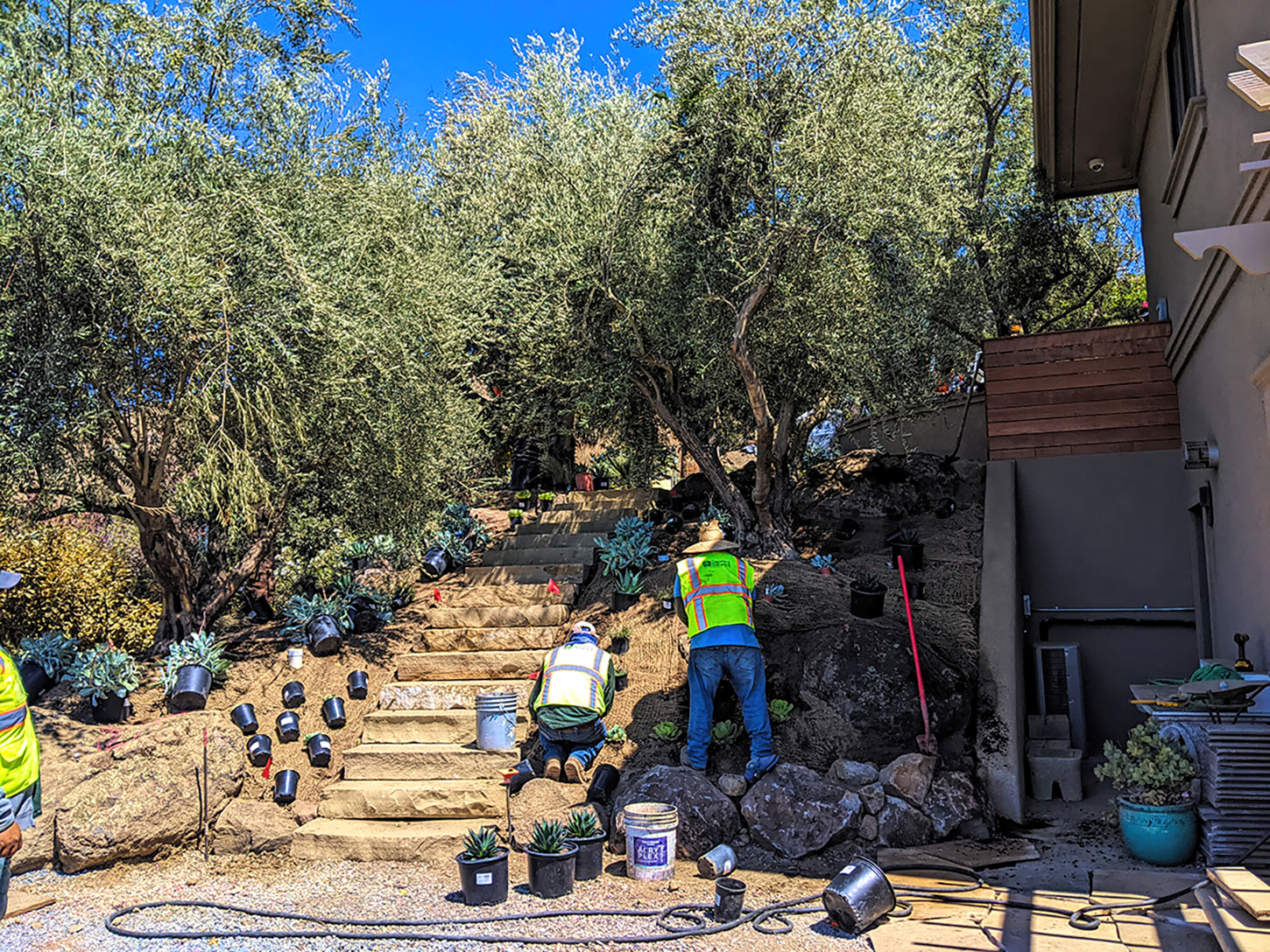 The Tiburon Residence - Sperber Landscape Services