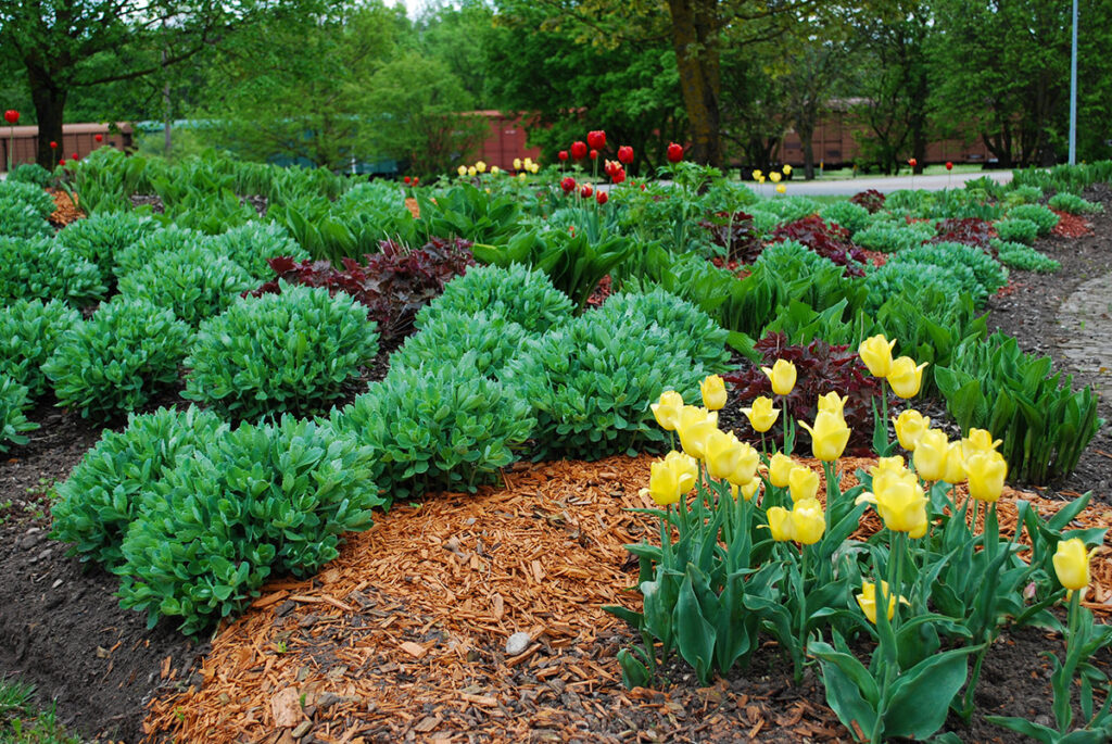 Sperber Landscape Services - Landscape Maintenance