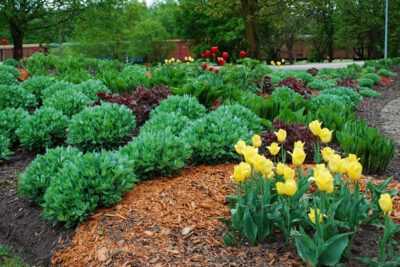Landscape Enhancements - Sperber Landscape Services - California