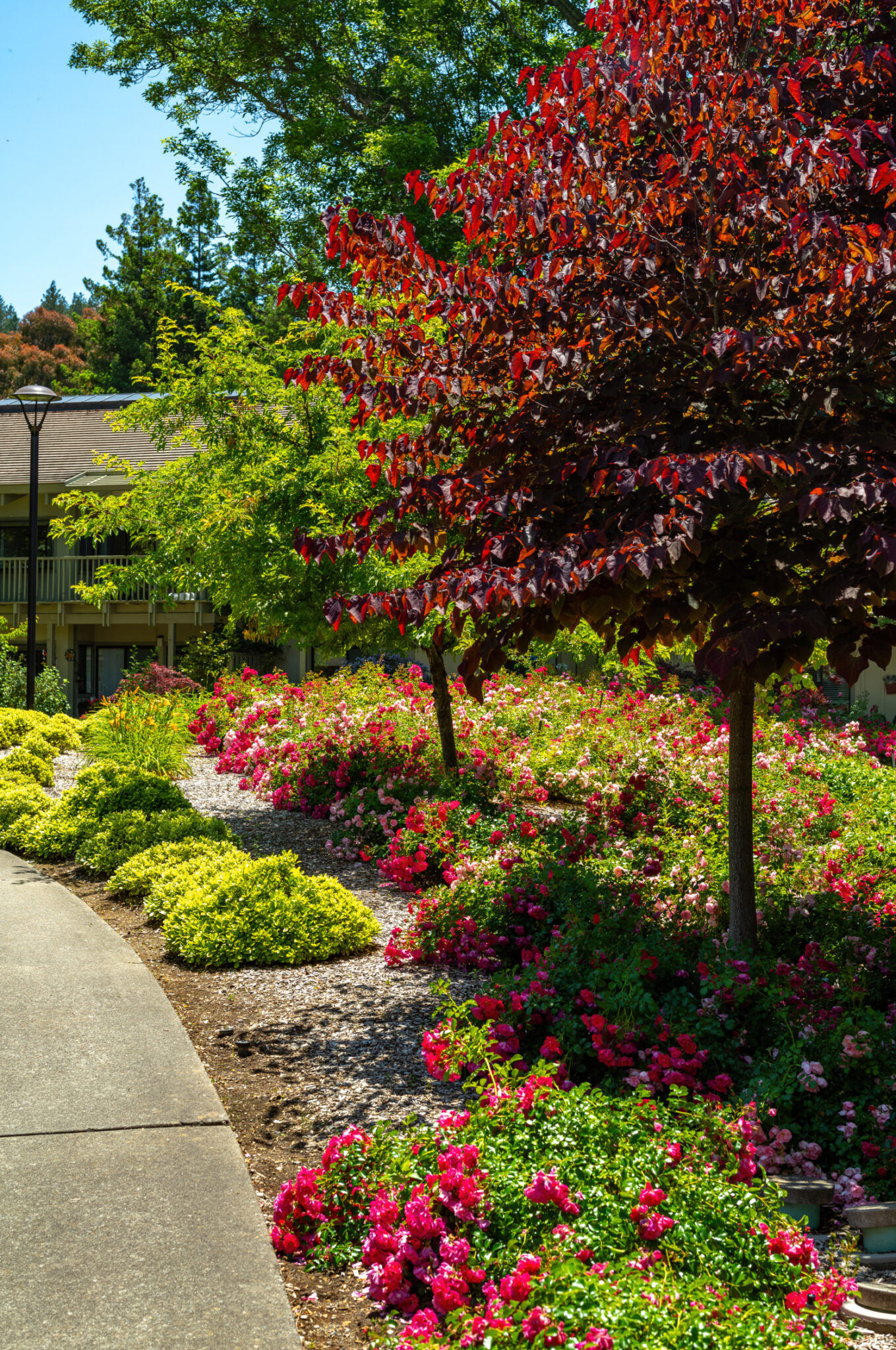 Landscape Maintenance - Sperber Landscape Services